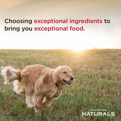 Diamond Naturals All Life Stages Chicken and Rice Formula Dry Dog Food Protein from Real Chicken, and Probiotics