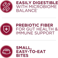 Purina ONE Small Bites Beef and Rice Formula Small High Protein Dry Dog Food Natural With Added Vitamins, Minerals and Nutrients - 16.5 lb. Bag