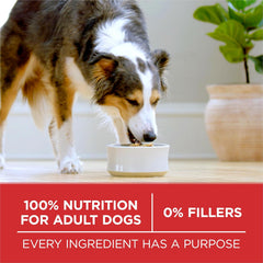 Purina ONE Small Bites Beef and Rice Formula Small High Protein Dry Dog Food Natural With Added Vitamins, Minerals and Nutrients - 16.5 lb. Bag