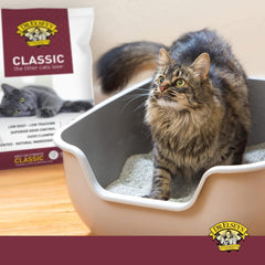 Precious Cat Classic Premium Clumping Cat Litter