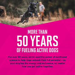 Eukanuba Puppy Small Breed Dry Dog Food