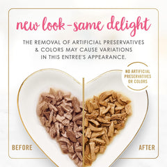 Purina Fancy Feast Grilled Wet Cat Food Salmon and Shrimp Feast in Wet Cat Food Gravy - (Pack of 24) 3 oz. Cans