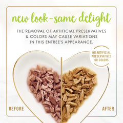 Purina Fancy Feast Grilled Wet Cat Food Salmon Feast in Wet Cat Food Gravy - (Pack of 24) 3 oz. Cans