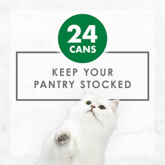 Purina Fancy Feast Chunky Chicken Feast Wet Cat Food - (Pack of 24) 3 oz. Cans