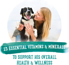 Purina Beneful Prepared Meals Lamb & Rice Stew - (8) 10 oz. Tubs