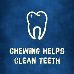 Purina Busy Rollhide Small/Medium Dog Treats - 9-Count Pouch