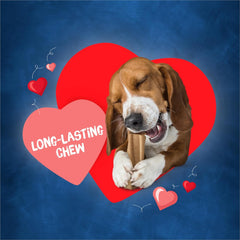 Busy Bone Dog Treat, Small/Medium, 21-Ounce Pouch, Pack of 1