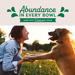 Natural Balance Original Ultra Adult Wet Dog Food, Lamb Recipe with Potatoes, Brown Rice & Carrots, 13 Ounce Can (Pack of 12)