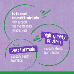 Purina Friskies Indoor Cat Food Chunky Chicken and Turkey Casserole With Garden Greens in Gravy 24/5.5 Oz - (Pack of 24) 5.5 Oz. Cans