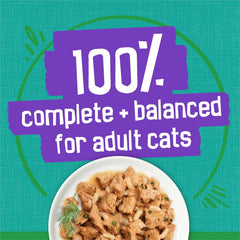 Purina Friskies Indoor Cat Food Meaty Bits Saucy Seafood Bake With Garden Greens in Sauce - (Pack of 24) 5.5 oz. Cans