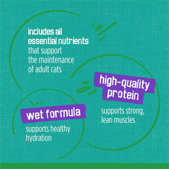 Purina Friskies Indoor Cat Food Meaty Bits Saucy Seafood Bake With Garden Greens in Sauce - (Pack of 24) 5.5 oz. Cans