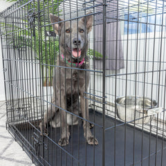 SPOT Coop Cup Bolt Clamp - Stainless Steel Hanging Bowl for Pet Crates, Easy Install, Chew-Proof, Removable Water/Kibble Bowl for Medium Dogs, Cats, Large Birds, Reptiles - 3.75 Cups (30 Oz)