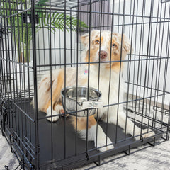 SPOT Coop Cup Bolt Clamp - Stainless Steel Hanging Bowl for Pet Crates, Easy Install, Chew-Proof, Removable Water/Kibble Bowl for Medium Dogs, Cats, Large Birds, Reptiles - 3.75 Cups (30 Oz)