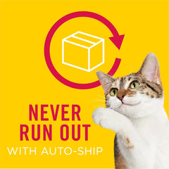 Purina Friskies Cat Treats, Party Mix Wild West Crunch - 2.1 oz. Pouches