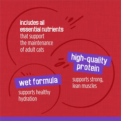 Purina Friskies Wet Cat Food, Meaty Bits With Beef in Gravy - (Pack of 24) 5.5 oz. Cans