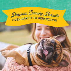 Natural Balance Limited Ingredient Rewards Crunchy Biscuits, Grain-Free Dog Treats for Adult Dogs of All Breeds, Chicken & Sweet Potato Recipe