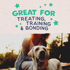 Natural Balance Limited Ingredient Rewards Crunchy Biscuits, Grain-Free Dog Treats for Adult Dogs of All Breeds, Chicken & Sweet Potato Recipe