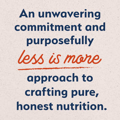 Natural Balance Limited Ingredient Diet Sweet Potato & Fish | Adult Grain-Free Wet Canned Dog Food | 13-oz. Can, (Pack of 12)