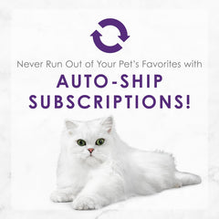 Purina Fancy Feast Delights With Cheddar Grilled Tuna and Cheddar Cheese Feast in Wet Cat Food Gravy Cat Food - (Pack of 24) 3 oz. Cans