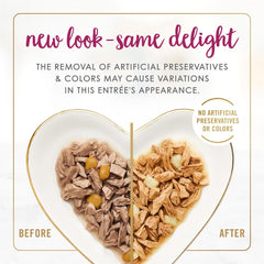 Purina Fancy Feast Delights With Cheddar Grilled Chicken and Cheddar Cheese Feast in Wet Cat Food Gravy Cat Food - (Pack of 24) 3 oz. Cans