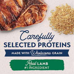 Natural Balance Limited Ingredient Adult Wet Canned Dog Food with Healthy Grains, Lamb & Brown Rice Recipe, 13 Ounce (Pack of 12)