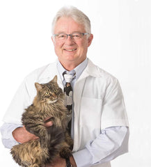 Dr. Elsey's Respiratory Relief Clumping Clay Cat Litter 20 Lb