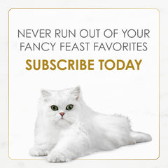 Purina Fancy Feast Gravy Lovers Turkey Feast Grilled Gourmet Cat Food in Wet Cat Food Gravy - (Pack of 24) 3 oz. Cans