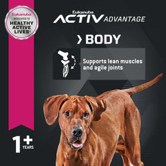 Eukanuba Adult Large Breed Dog Food Dry, Dry Dog Food with Protein, DHA and Vitamins, 30 lb Bag