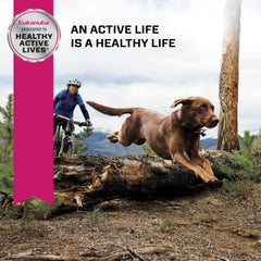 Eukanuba Adult Large Breed Dog Food Dry, Dry Dog Food with Protein, DHA and Vitamins, 30 lb Bag