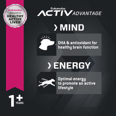 Eukanuba Adult Dry Medium Breed Dog Food, Dry Dog Food for Medium Dogs with Protein, DHA and Vitamins to Support a Healthy Lifestyle