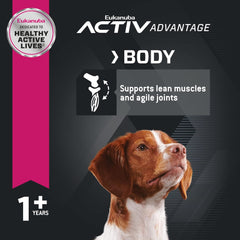 Eukanuba Adult Dry Medium Breed Dog Food, Dry Dog Food for Medium Dogs with Protein, DHA and Vitamins to Support a Healthy Lifestyle