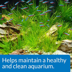 API AQUARIUM START UP PACK Water Conditioner