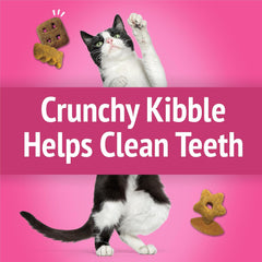 Purina Friskies Cat Treats, Party Mix California Crunch With Chicken
