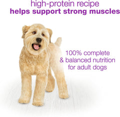 Beneful Wet Dog Food, Chopped Blends, With Chicken Carrots Peas & Wild Rice 10-Ounce Tub, Pack Of 8