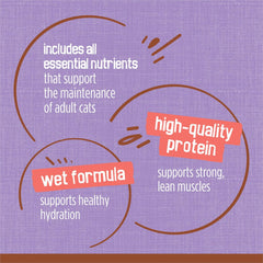 Purina Friskies Extra Gravy Wet Cat Food Chunky With Turkey in Savory Gravy - (Pack of 24) 5.5 oz. Cans