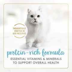 Purina Fancy Feast Gravy Lovers Salmon and Sole Feast Grilled Gourmet Cat Food in Wet Cat Food Gravy - (Pack of 24) 3 oz. Cans