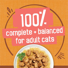 Purina Friskies Extra Gravy Wet Cat Food Chunky Chicken in Savory Gravy - (Pack of 24) 5.5 oz. Cans