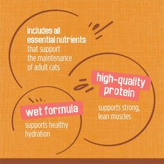 Purina Friskies Extra Gravy Wet Cat Food Chunky Chicken in Savory Gravy - (Pack of 24) 5.5 oz. Cans