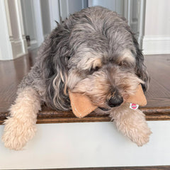 SPOT Dura-Fused Leather Bone - Dog Toy with Squeaker, Made With Real Leather and Jute Fabric, Interactive Toy for Aggressive Chewers, Durable Squeaky Toy for Dogs and Puppies, Small - 7in