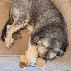 SPOT Dura-Fused Leather Bone - Dog Toy with Squeaker, Made With Real Leather and Jute Fabric, Interactive Toy for Aggressive Chewers, Durable Squeaky Toy for Dogs and Puppies, Small - 7in