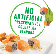 Purina Beneful Wet Dog Food Variety Pack, Chopped Blends - (12) 10 oz. Tubs