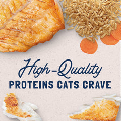 Natural Balance Ultra Premium Ocean Fish Cat Food | Wet Canned Food for Cats | 5.5-oz. Can, (Pack of 24)