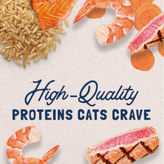 Natural Balance Ultra Premium Wet Canned Food for Kittens to Adult Cats Protein Choices Include Chicken & Liver Chicken, Turkey, Ocean Fish, Salmon or Tuna 5.5 Ounce (Pack of 24)