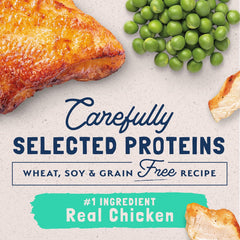 Natural Balance Limited Ingredient Diet Chicken & Green Pea | Grain-Free Wet Adult Cat Food | 5.5-oz. Can, (Pack of 24)