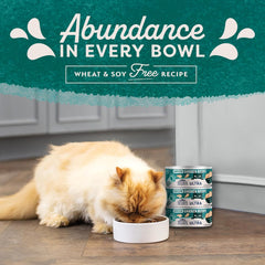 Natural Balance Ultra Premium Chicken Indoor Cat Food | Wet Canned Food for Cats | 5.5-oz. Can, (Pack of 24)