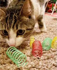 SPOT 2515 10PK Color SPR Cat Toy