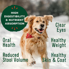 Primal Freeze Dried Raw Dog Food Nuggets, Pork, Complete & Balanced Meal, Also Use as Topper or Treat, Premium, Healthy, Grain Free, High Protein Raw Dog Food