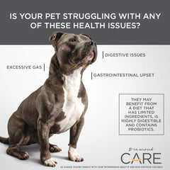 Diamond Care Sensitive Stomach Recipe Specially Made As A Limited Ingredient Diet to Support Dogs with Sensitive Stomach & Digestive Issues