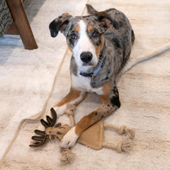 SPOT Dura-Fused Leather Forest Animals - Dog Toy with Squeaker and Rope Limbs, Real Leather and Jute Chew Toy, Durable No-Stuffing Toy For Light to Moderate Chewers - 14in, Assorted Styles, 1 Piece