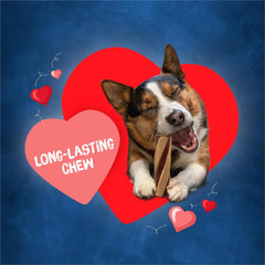 Purina Busy with Beggin' Twist'd Small/Medium Dog Treats